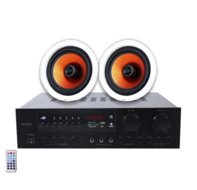 홈 시어터 사운드 시스템 또는 실외 애플리케이션을 위한 2 x 100와트의 고출력을 갖춘 2채널 스테레오 오디오 증폭기